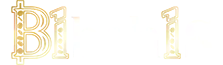 B1 Bahis